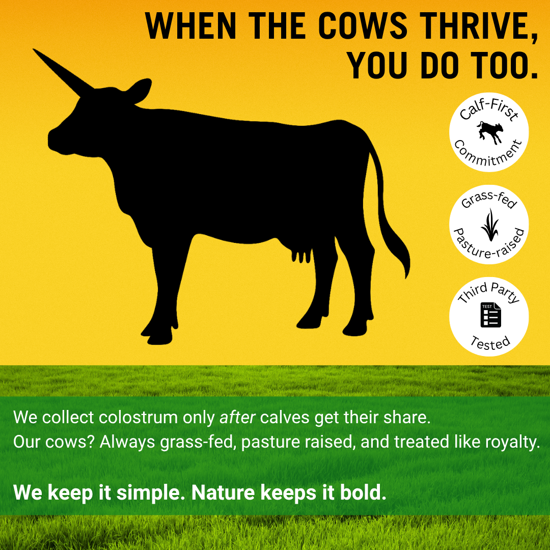 Grass-Fed Colostrum Superfood Powder – Gut, Immunity & Glow