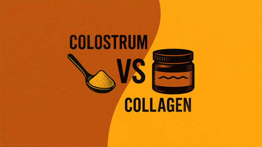 Colostrum vs. Collagen: What’s the Difference, and Which One Does More for Your Gut?