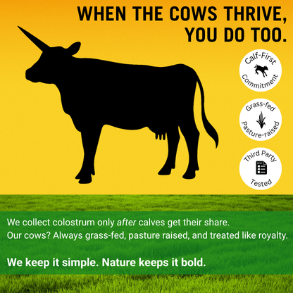 Grass-Fed Colostrum Superfood Powder – Gut, Immunity & Glow