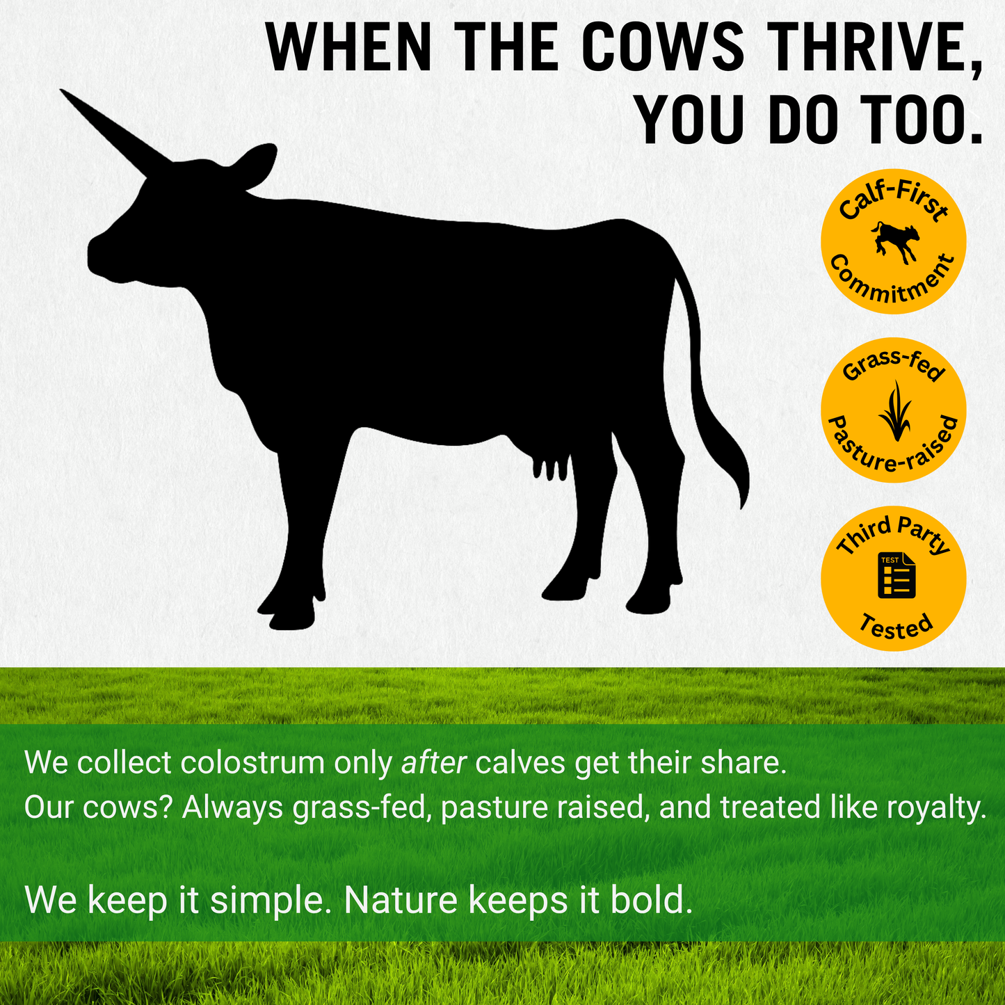 Grass-Fed Colostrum Superfood Powder