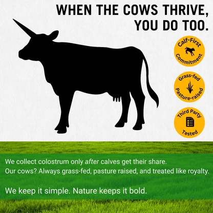 Grass-Fed Colostrum Superfood Powder